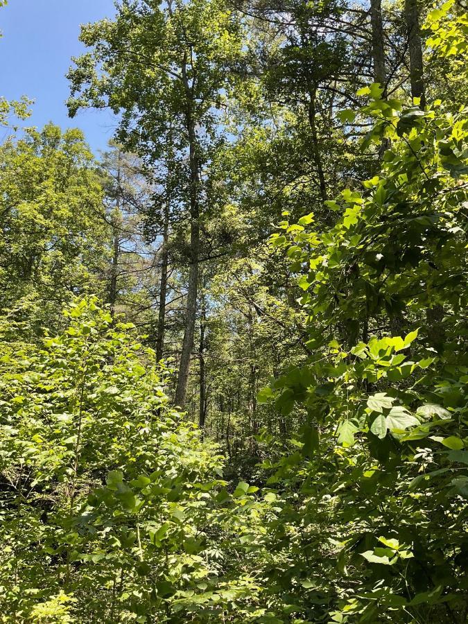 Tallulah Gorge Retreat Lakemont Ngoại thất bức ảnh