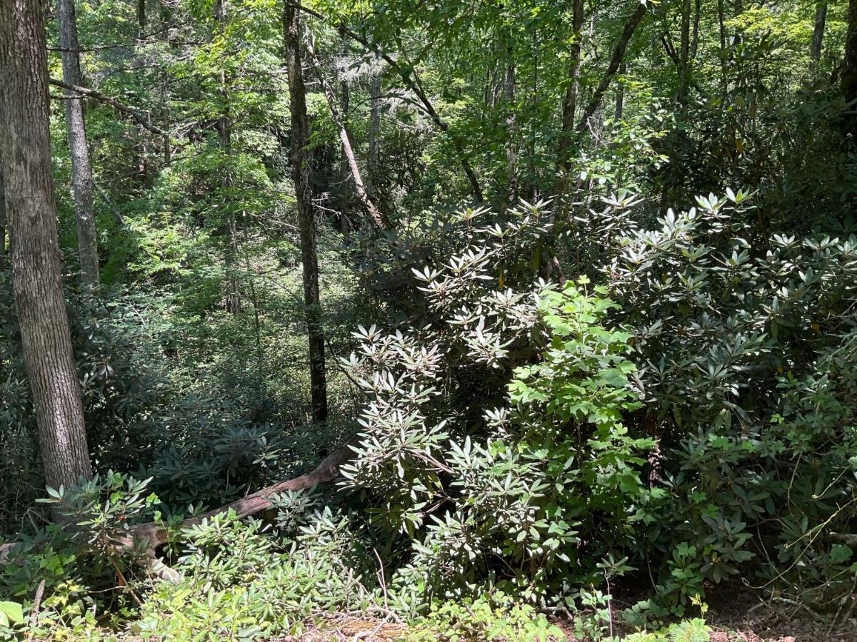 Tallulah Gorge Retreat Lakemont Ngoại thất bức ảnh