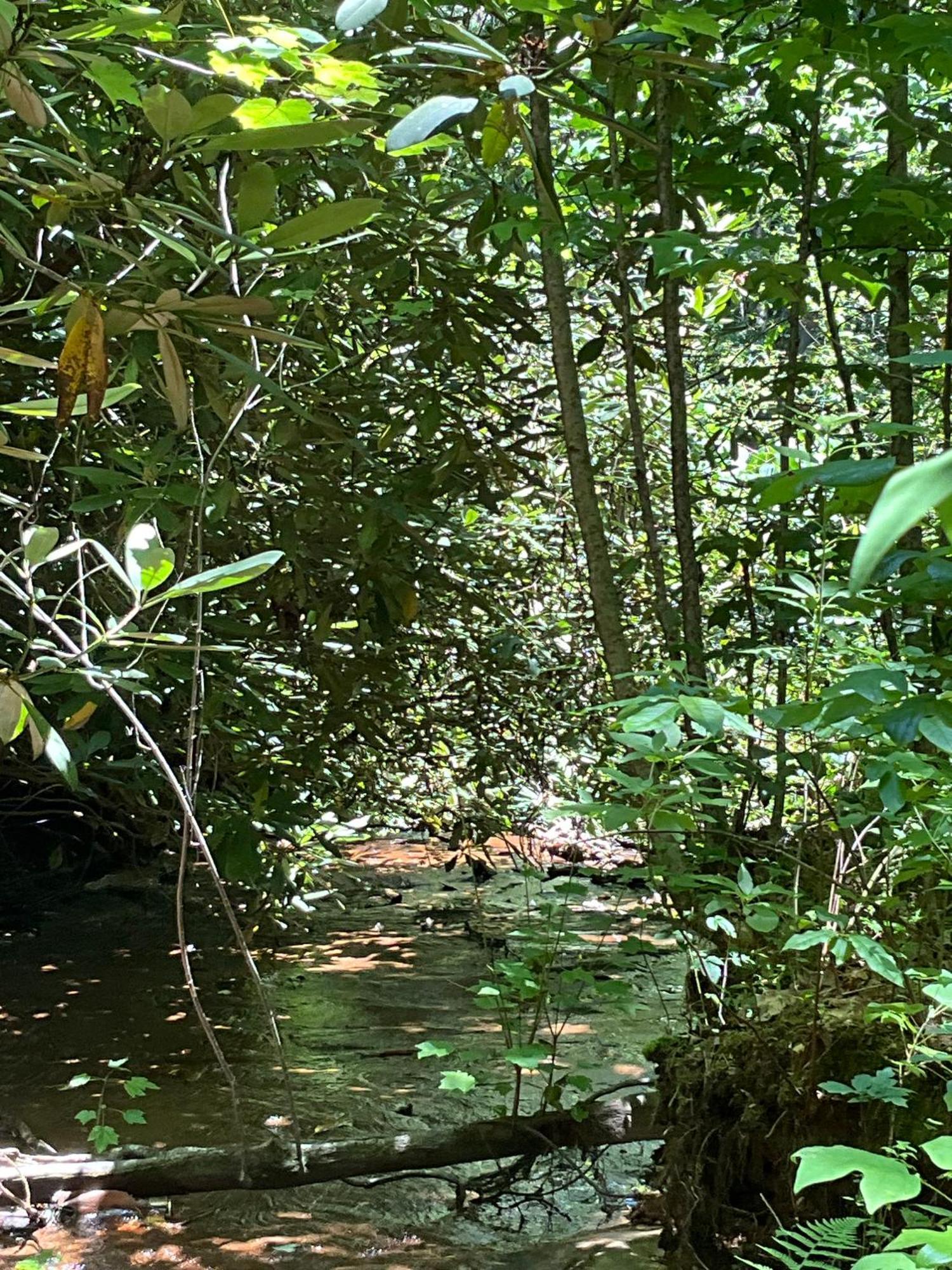 Tallulah Gorge Retreat Lakemont Ngoại thất bức ảnh