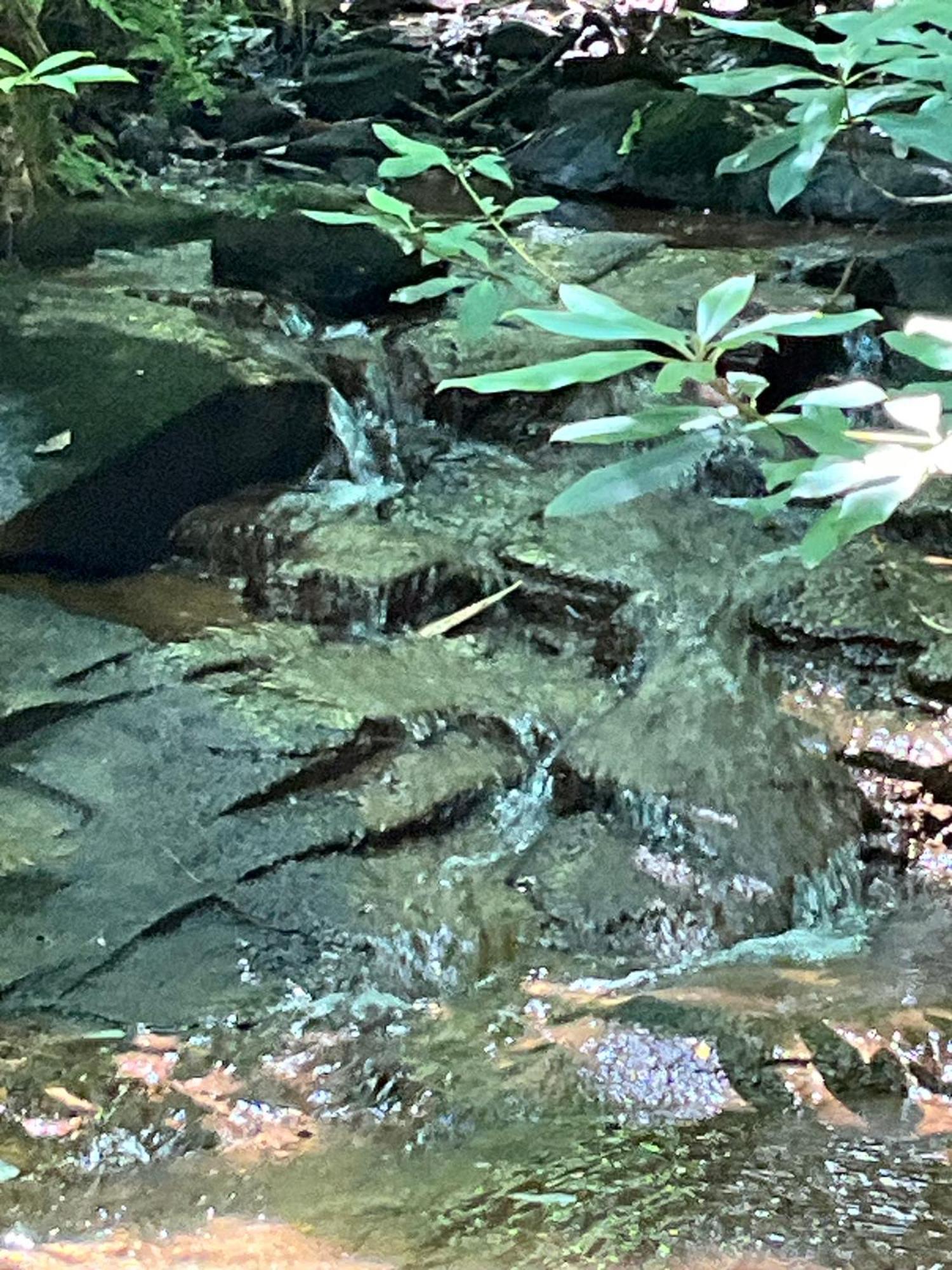 Tallulah Gorge Retreat Lakemont Ngoại thất bức ảnh